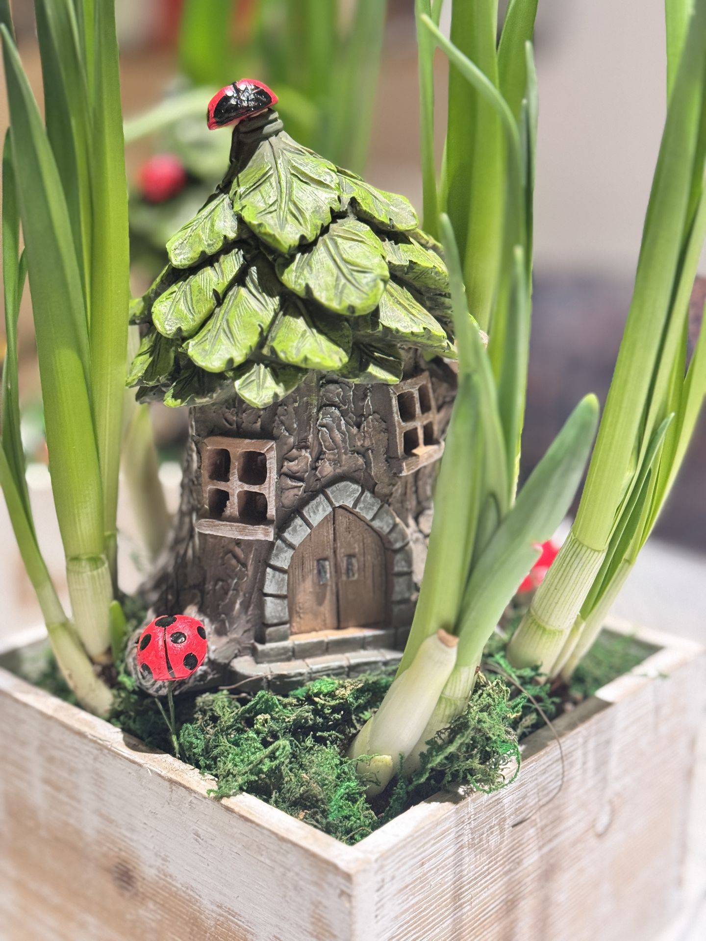 fairy garden house