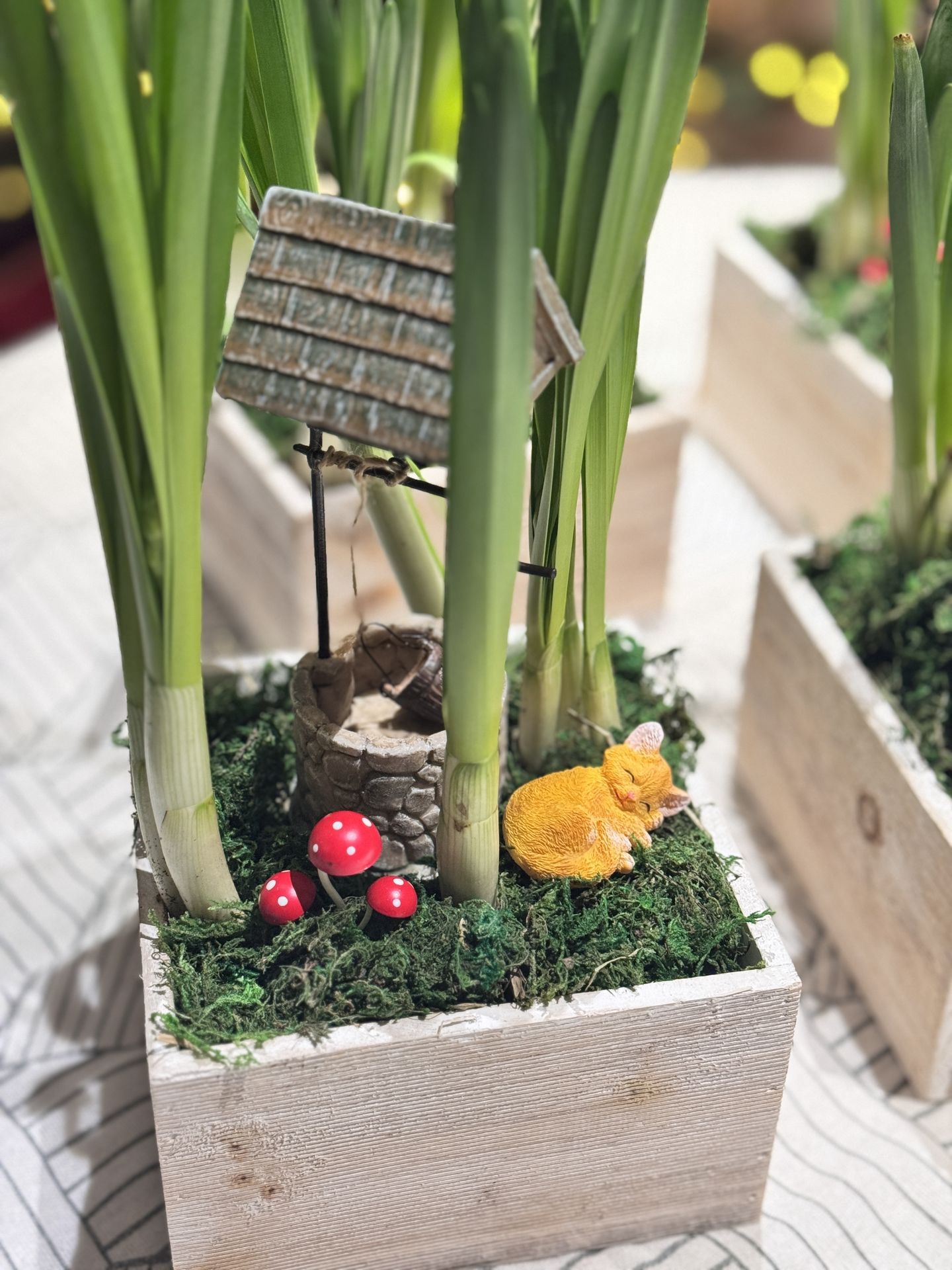 fairy garden wishing well and sleeping cat